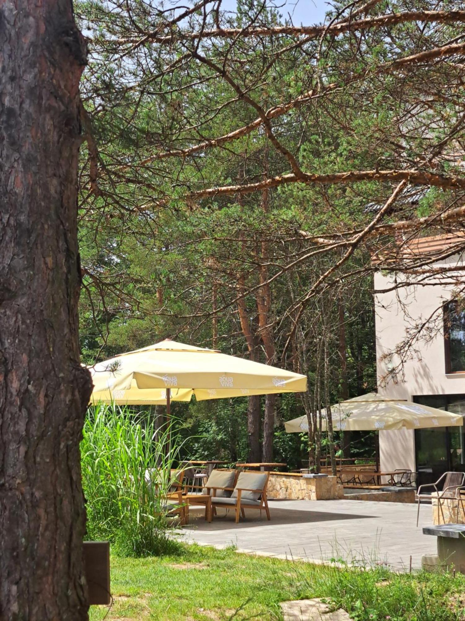Divčibare Maglian Campus酒店 外观 照片